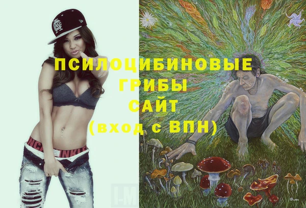 2c-b Навашино