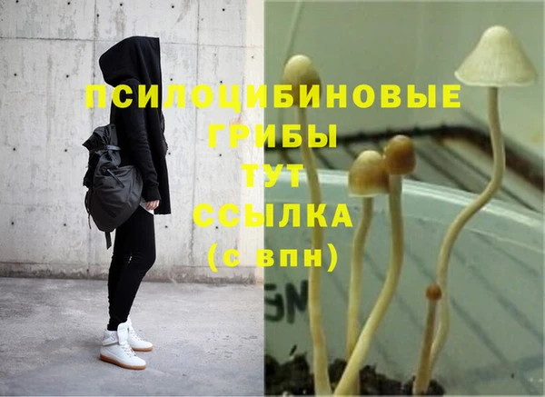2c-b Навашино
