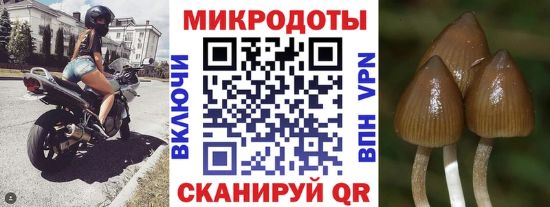 Псилоцибиновые грибы мухоморы  Кострома 
