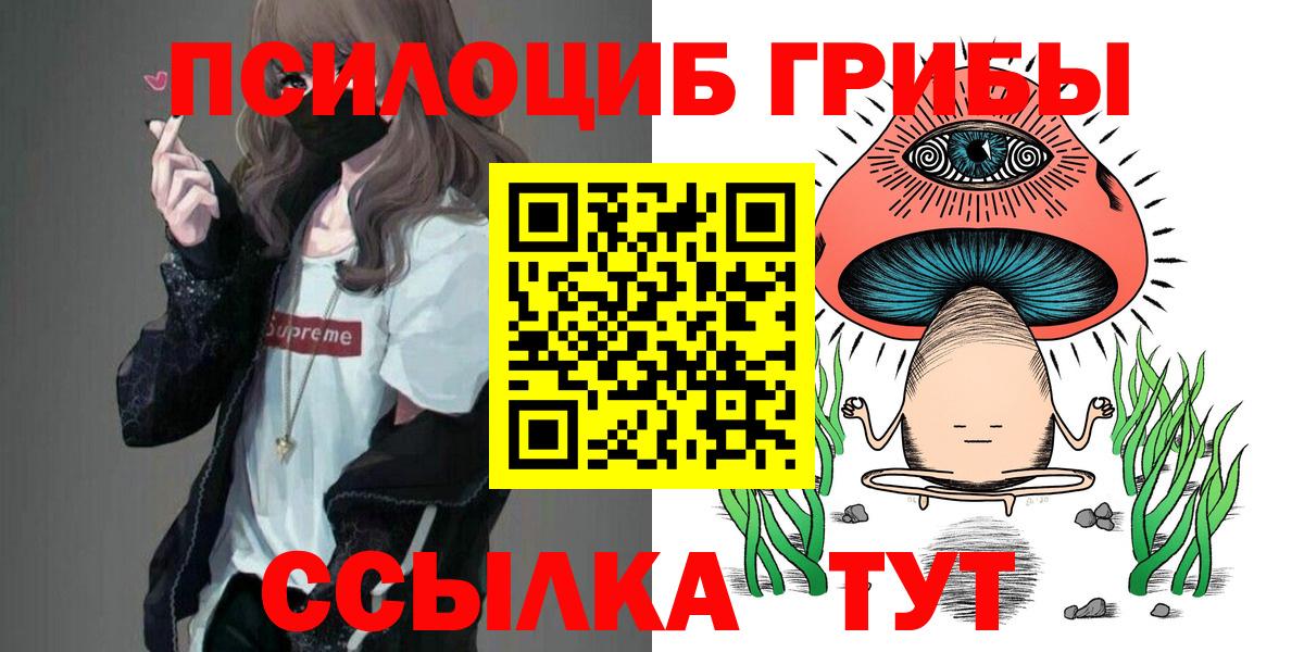 Галлюциногенные грибы Cubensis  купить наркотик  Кострома  Вход с VPN 